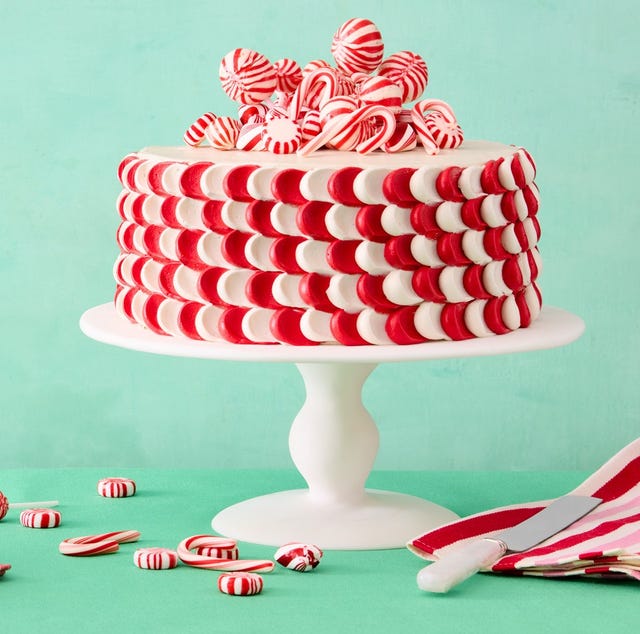 63 Best Christmas Cakes to Bake This Holiday Season