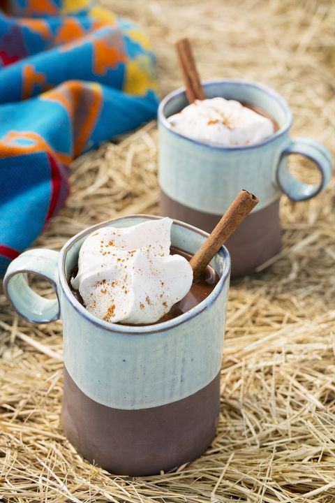 spiced mexican hot chocolate in two mugs with dollops of whipped cream on top and garnished with a cinnamon stick