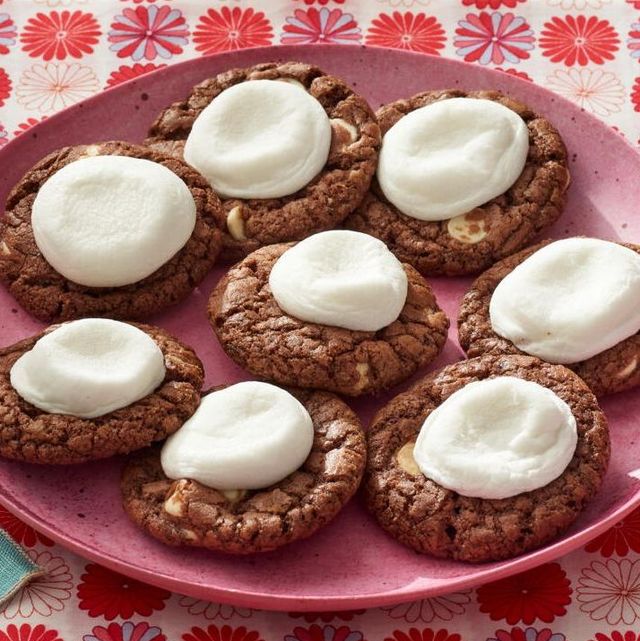 hot chocolate cookies on pink plate