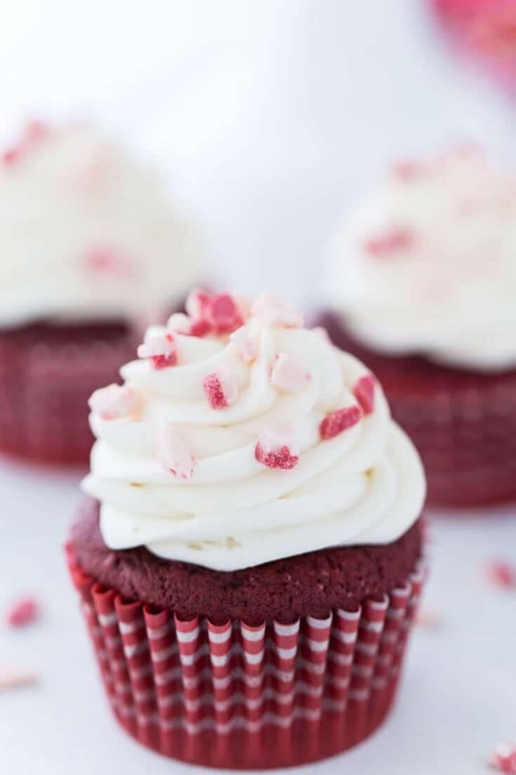 30 Best Christmas Cupcake Recipes to Bake for the Holidays