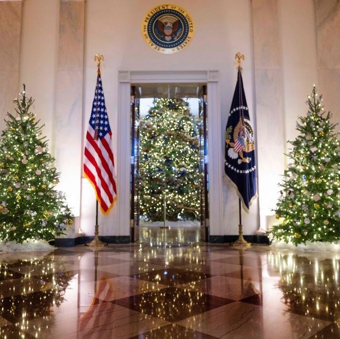  Official 2022 White House Christmas Ornament : Home & Kitchen