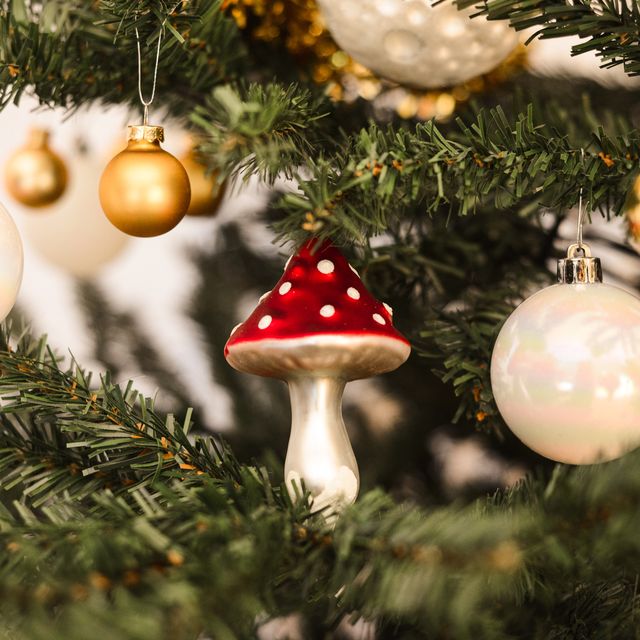 Decorare con i funghi: la tendenza natalizia che sta conquistando