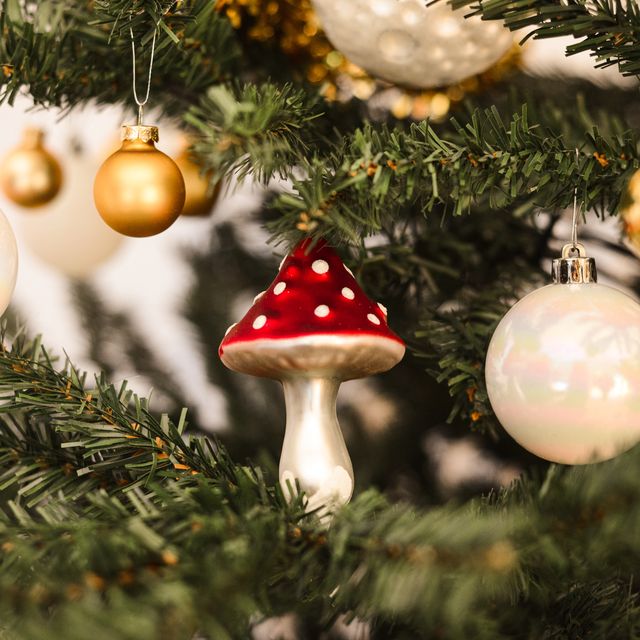 Decorare con i funghi: la tendenza natalizia che sta conquistando