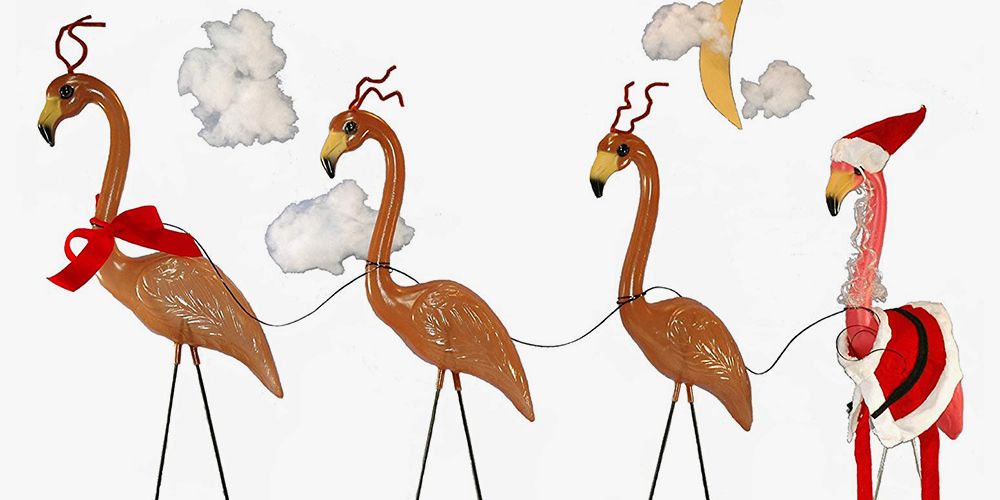 Bird, Greater flamingo, Flamingo, Water bird, Beak, Art, Illustration, 