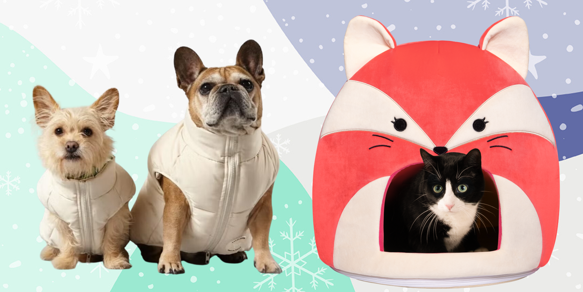 Fashion cat dog christmas