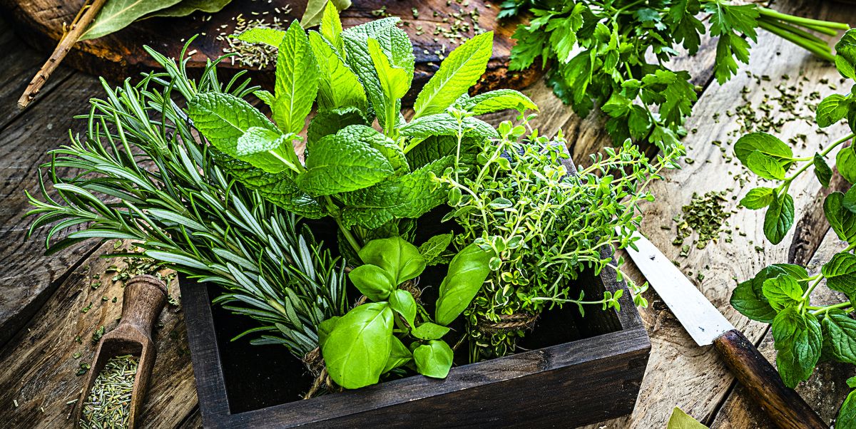 6 herbs you can grow yourself that's perfect for christmas dinner
