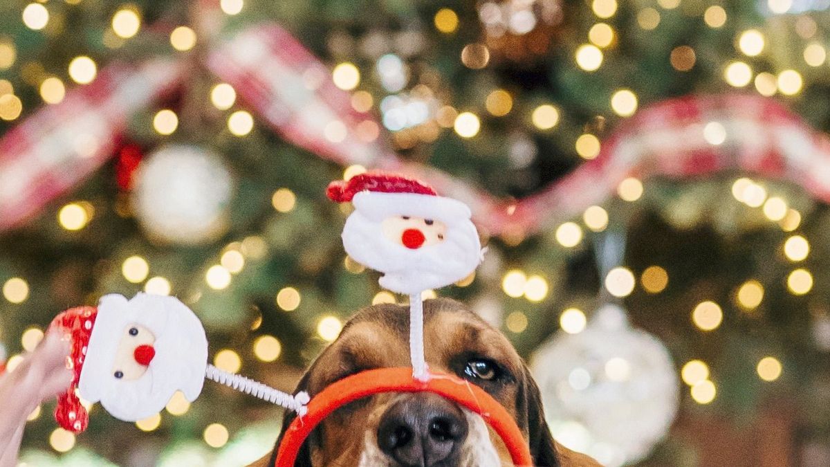 10 Super Evil Christmas Gift Pranks You Can Do This Holiday Season