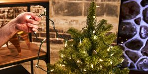 best christmas lights for holiday decorating
