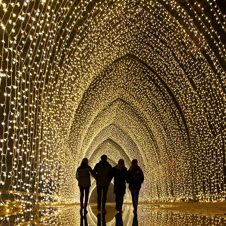 a group of people standing in a circle with christmas light display in the background