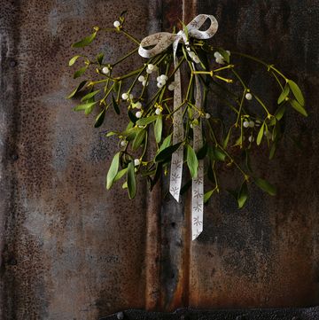 christmas mistletoe plant with berries tied in a bunch with a bow hanging on an old rustic door