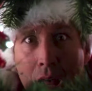 best christmas movie quotes, chevy chase in 'christmas vacation'