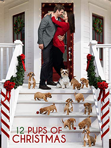 12 pups of christmas  christmas movies on hulu