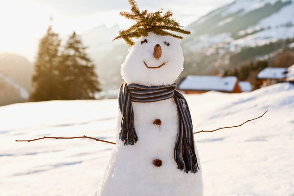 snowman outside in nature