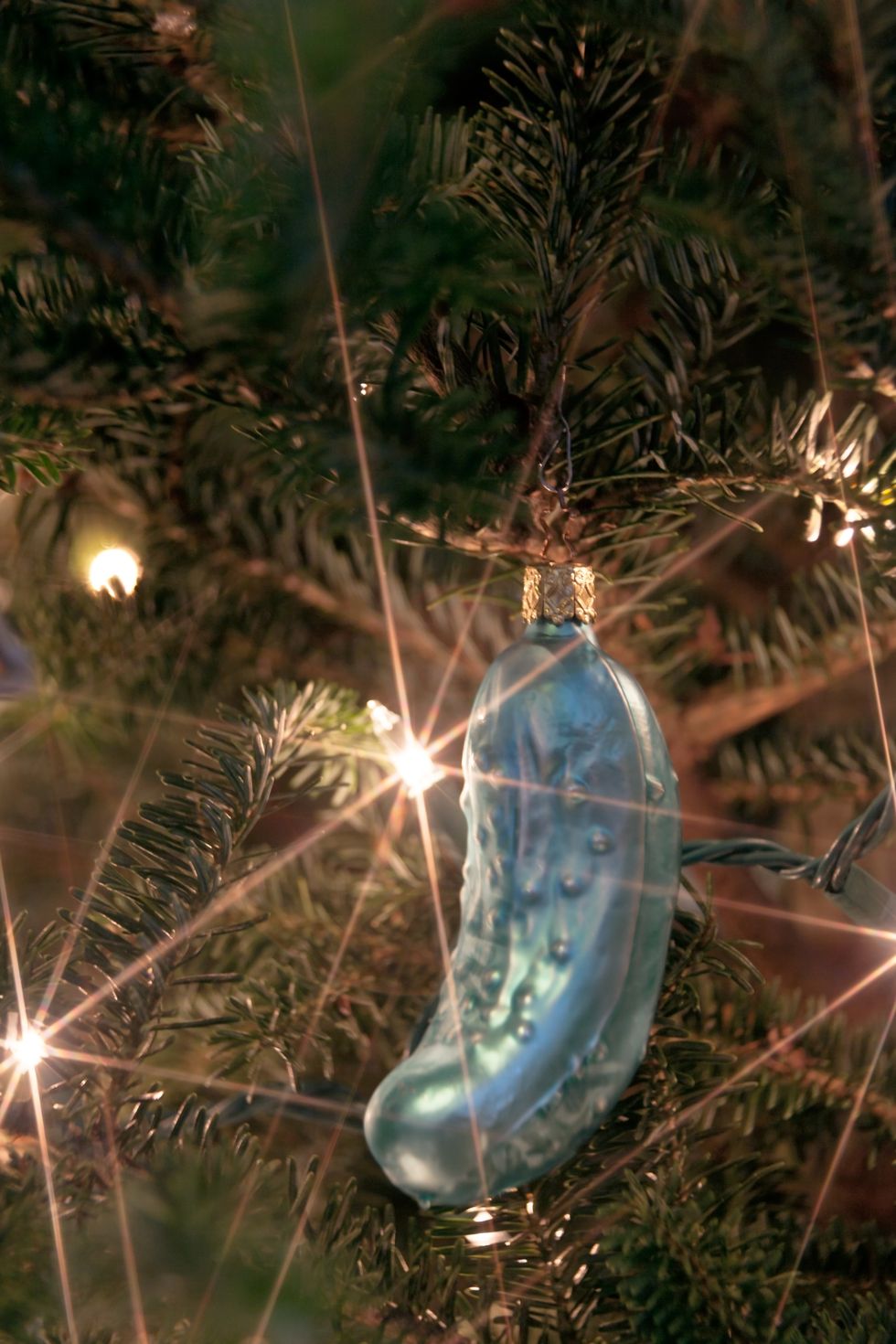 pickle ornament hanging on christmas tree