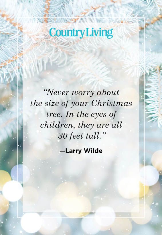 christmas quote by larry wilde on close up photo of fir tree branches with christmas lights
