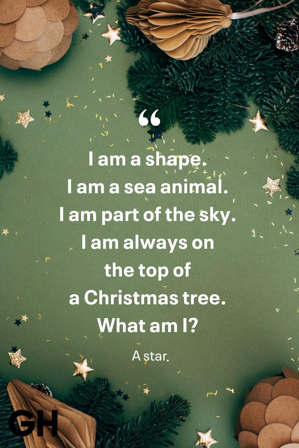 i am a shape i am a sea animal i am part of the sky i am always on the top of a christmas tree what am i a star