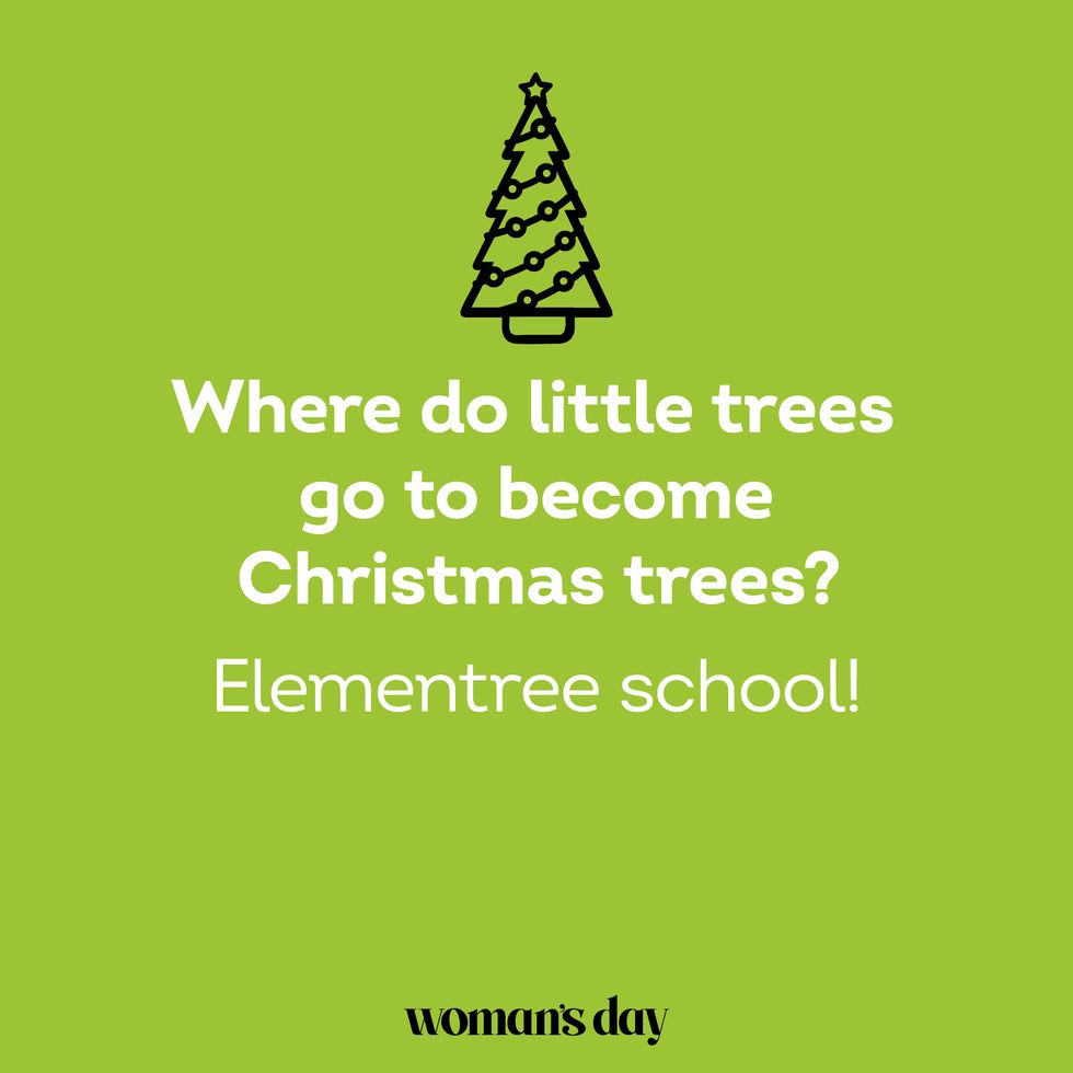 christmas riddles where do little trees go to become christmas trees elementree school
