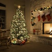 Christmas stockings, fireplace, tree, and decorations