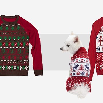 christmas sweaters let you and your dog match