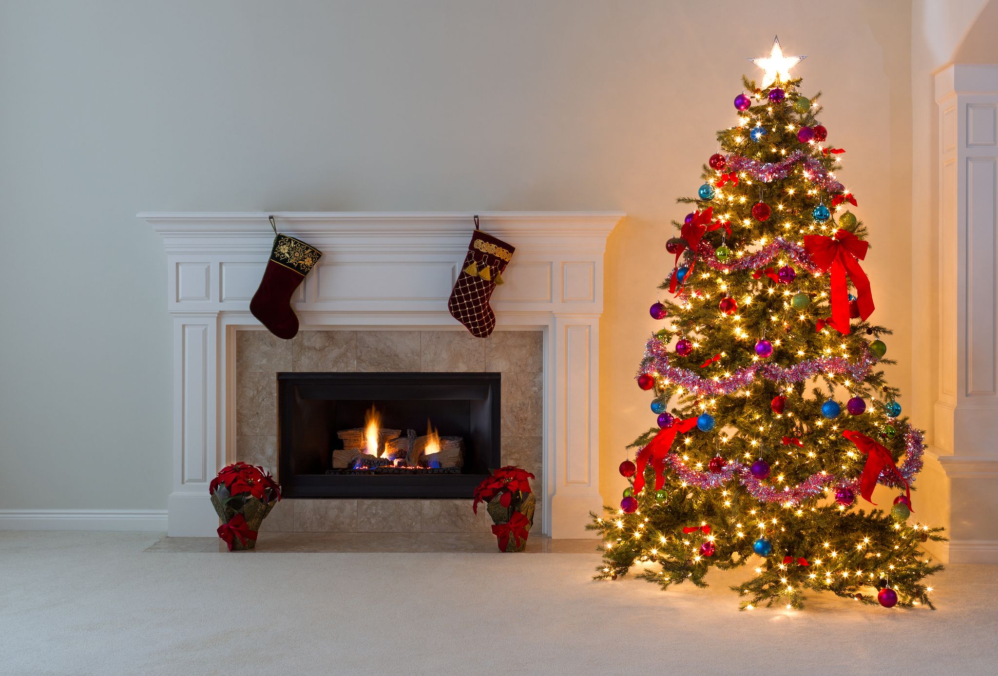 Christmas tree Instagram photo
