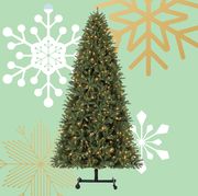 Christmas tree, Colorado spruce, White pine, balsam fir, Yellow fir, shortleaf black spruce, Tree, oregon pine, Pine, Christmas decoration, 
