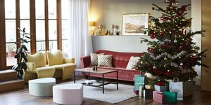 christmas tree and furniture in living room