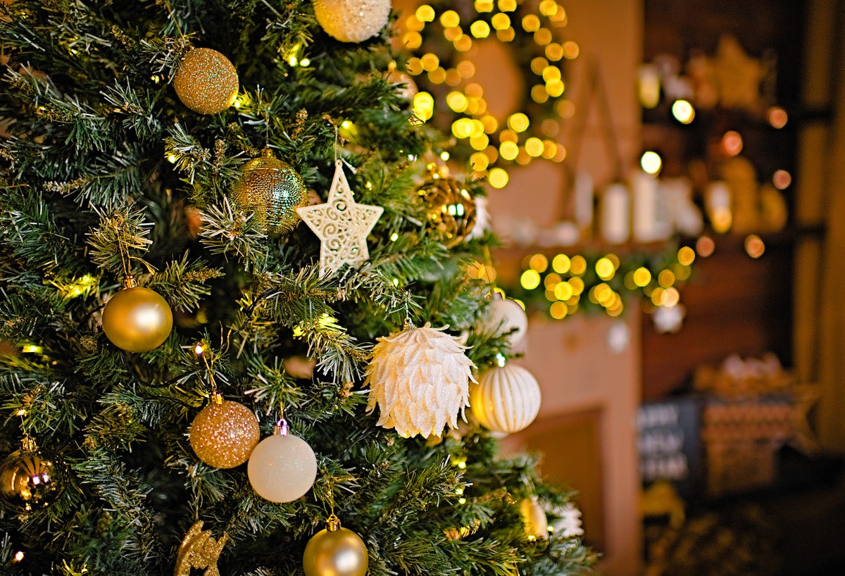 Best Christmas Tree Bug Solutions — Types of Christmas Tree Bugs