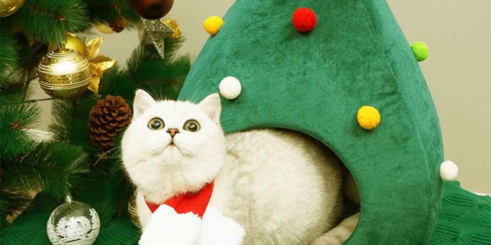 Cat, Felidae, Small to medium-sized cats, Christmas ornament, Christmas, Whiskers, Christmas tree, Carnivore, Christmas decoration, 