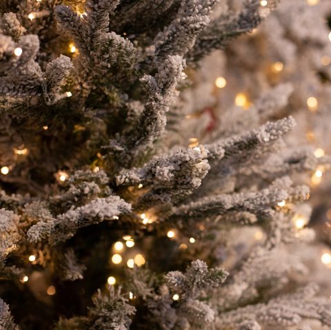 a snow flocked christmas tree with warm christmas lights in the background