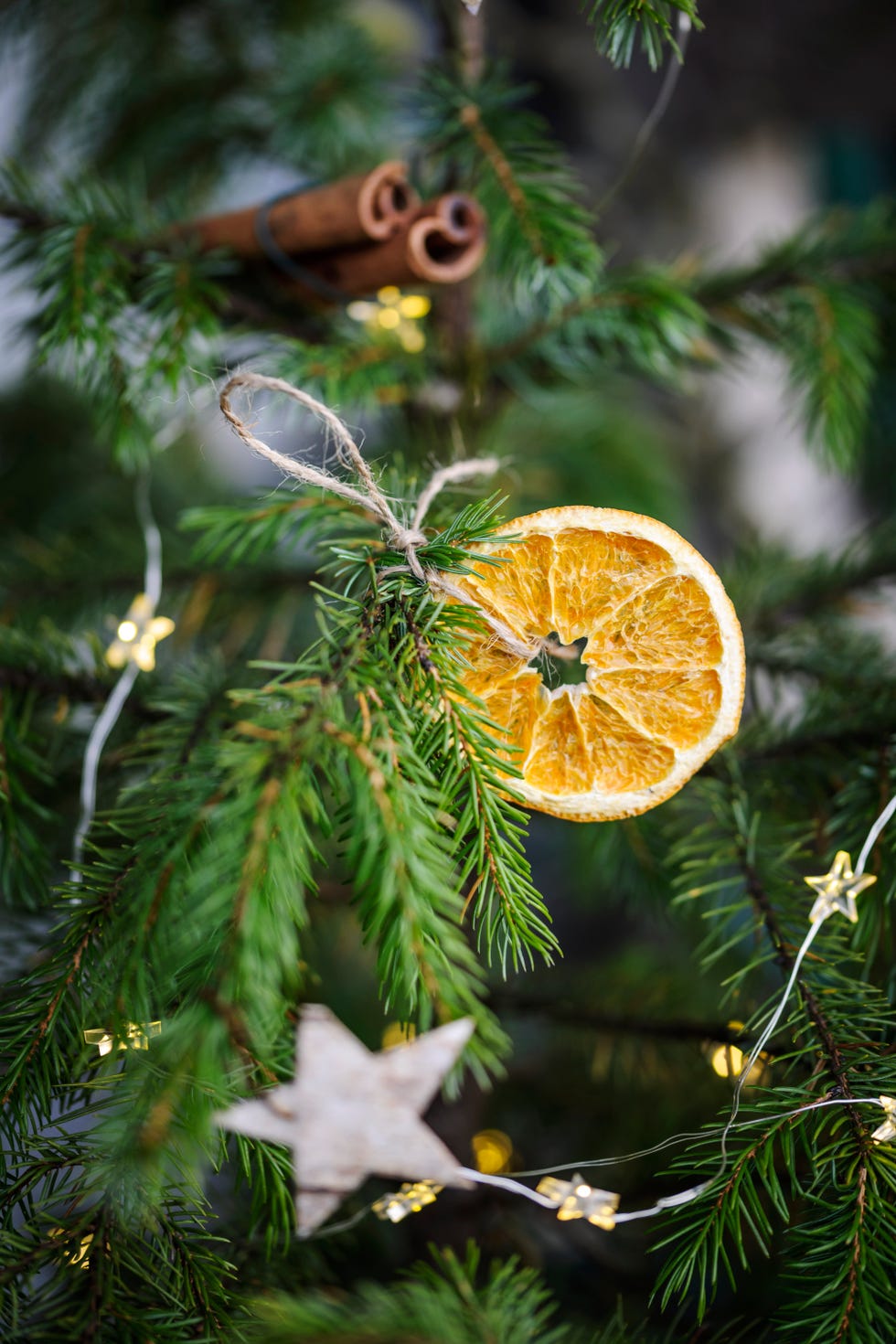 christmas tree decorated with natural fruits