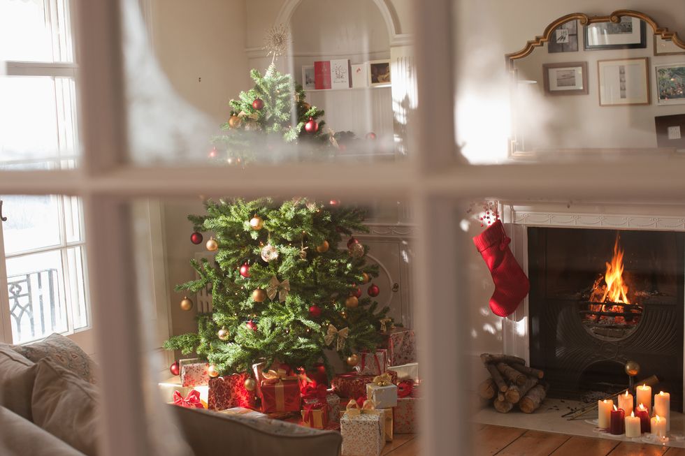 Christmas tree in living room behind window