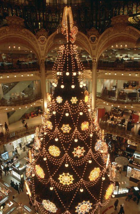 Christmas Tree In Paris, France -
