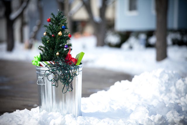 When to Take Down Your Christmas Tree