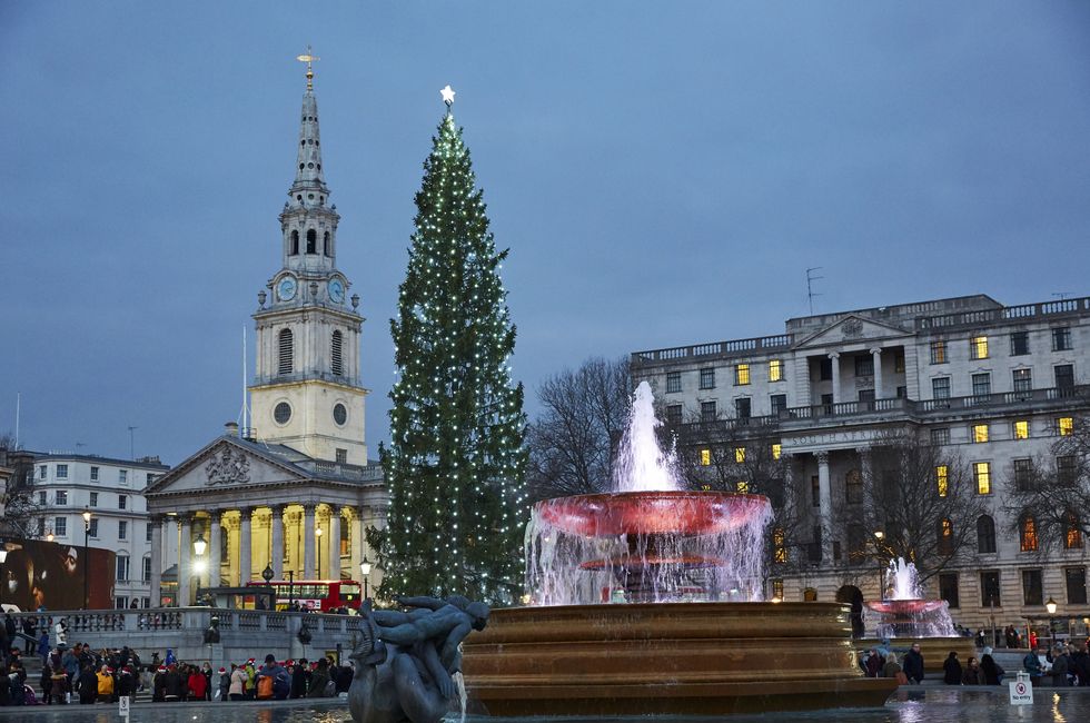 Christmas tree in Trafalger Square at dusk