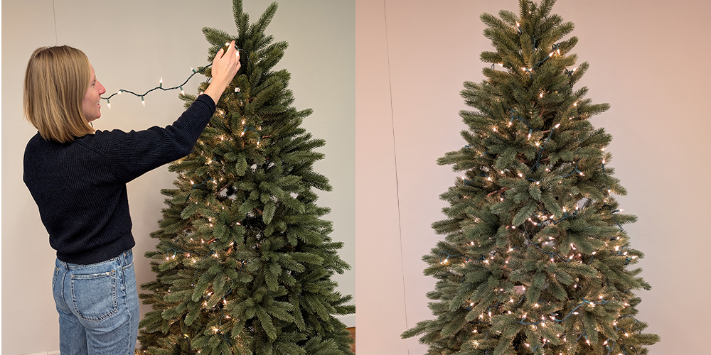 preview for When to Take Down Your Christmas Tree