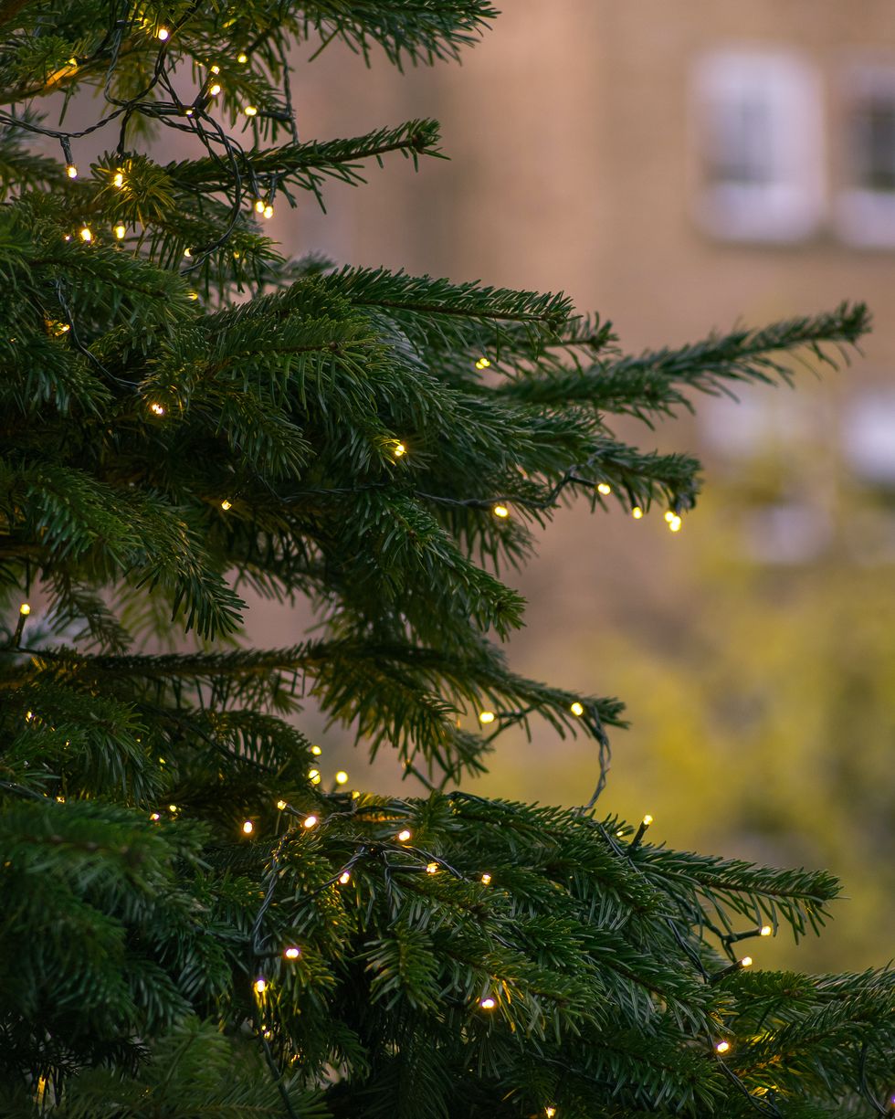 christmas tree lights running costs