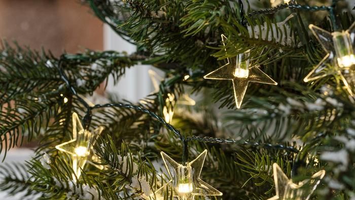 pijp bekennen Relatieve grootte 13 Christmas Tree Lights To Buy Now