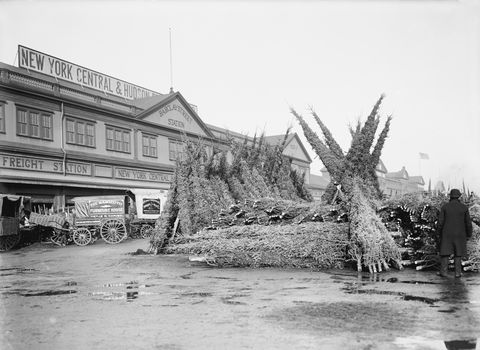 christmas tree market, barclay street station, new york city, usa, circa 1895