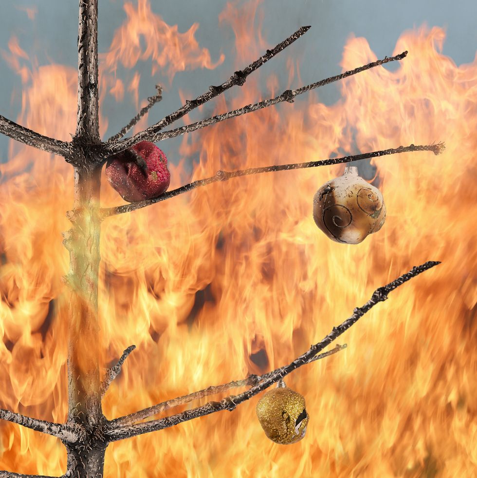 a bare branches christmas tree consumed by fire