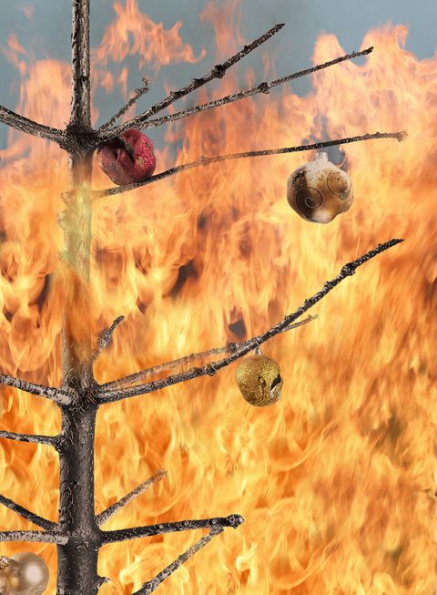 a bare branches christmas tree consumed by fire