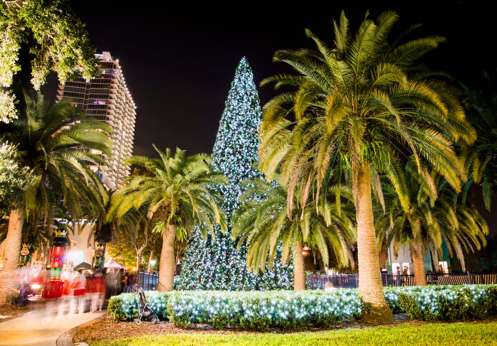 christmas tree, orlando florida