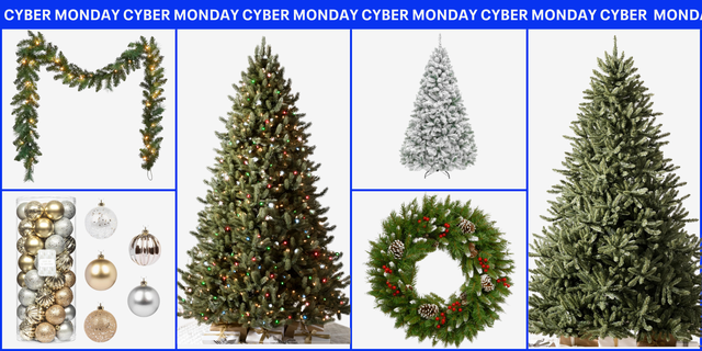 Xmas tree offers discount
