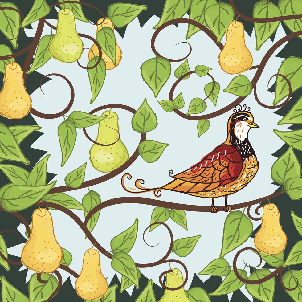 a partridge in a pear tree 12 days of christmas