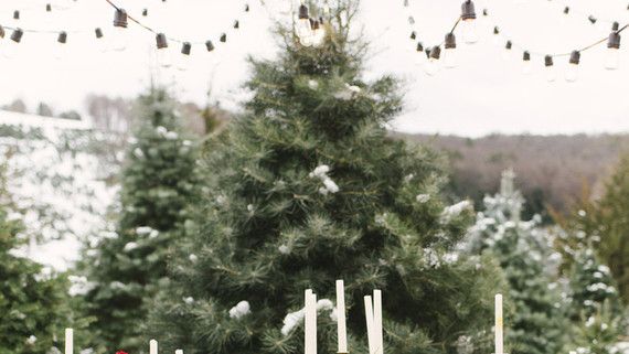 Cozy Slippers- Buffalo Plaid Christmas Tree