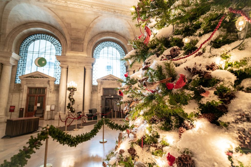 christmas zoom background new york public library