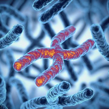 chromosome 3d rendering illustration