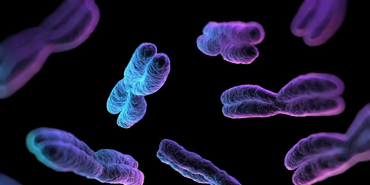 Гены пыльцы. Хромосомы. Хромосомы человека под микроскопом. Красивые хромосомы. Клеточные мутации.