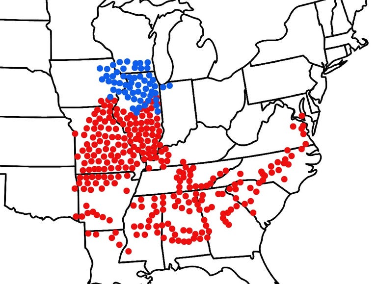 When Are the Cicadas Coming? A List By State