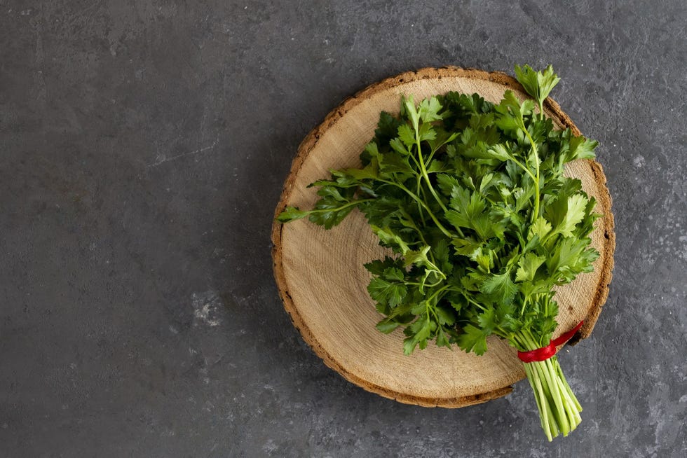 6 Best Cilantro Substitutes What Can I Use Instead of Cilantro