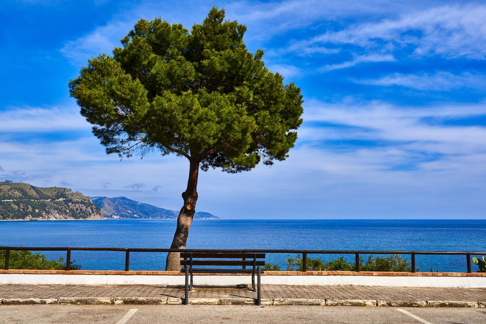 cilento